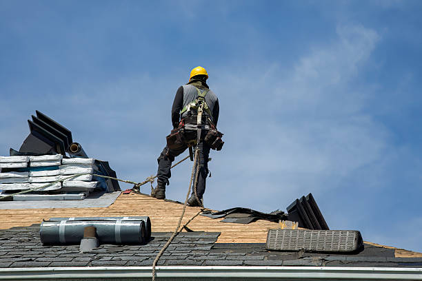 Professional Roof Installation technician working in Vanleer, TN